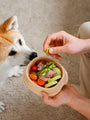 How to transition your pet to a new diet safely