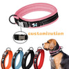 Reflective Nylon Personalized Dog Collar