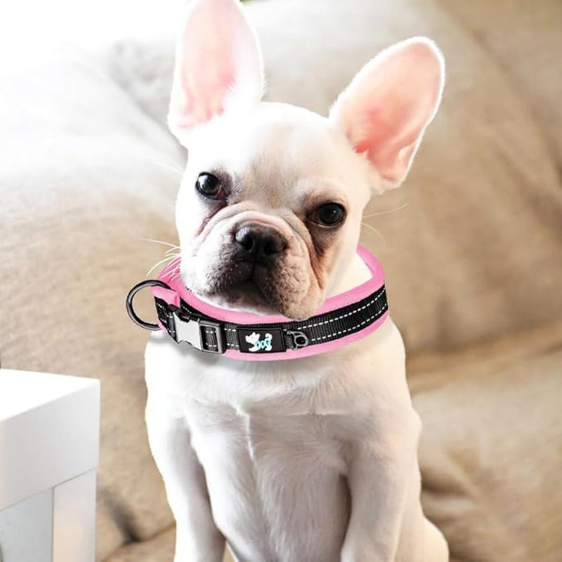 Reflective Nylon Personalized Dog Collar