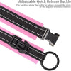 Reflective Nylon Personalized Dog Collar