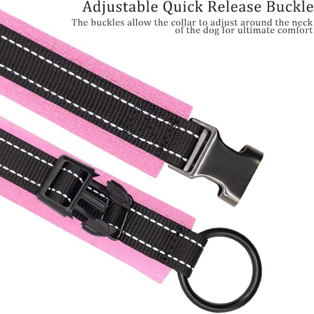 Reflective Nylon Personalized Dog Collar