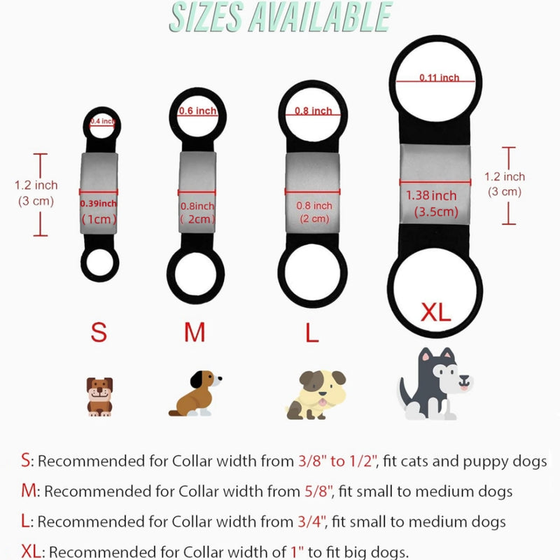 Personalised Alloy & Silicone Pet Collar