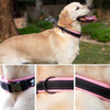 Reflective Nylon Personalized Dog Collar