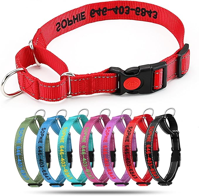 Personalized Reflective Martingale Dog Colla