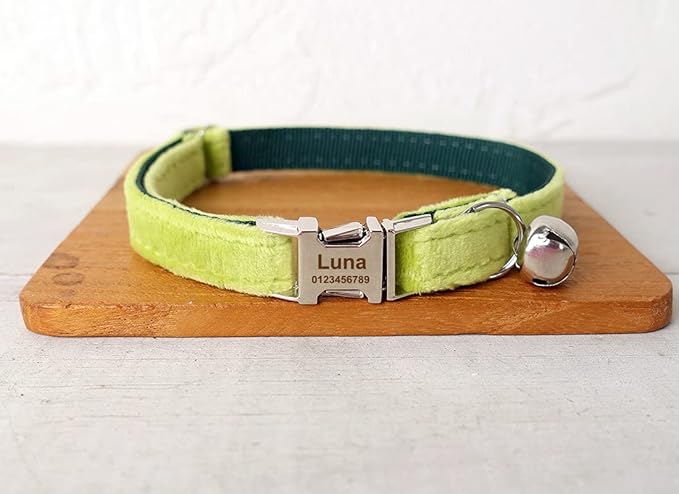 Personalized Cat Collar with Name & Phone Number Engraved