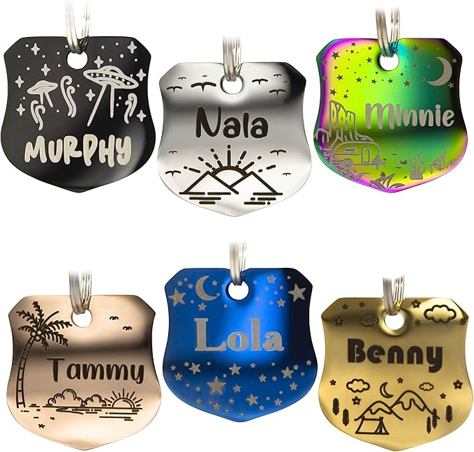 Personalized Stainless Steel Dog Tag