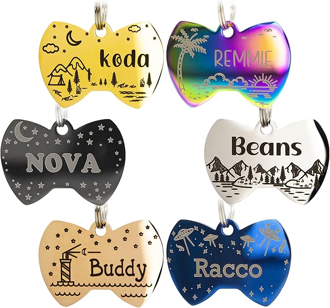 Personalized Stainless Steel Dog Tag