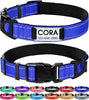 Personalized Reflective Dog Collar with Name Plate