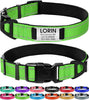 Personalized Reflective Dog Collar with Name Plate