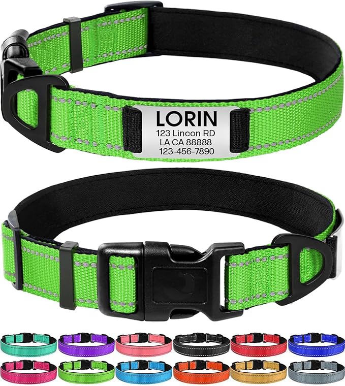 Personalized Reflective Dog Collar with Name Plate