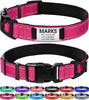 Personalized Reflective Dog Collar with Name Plate