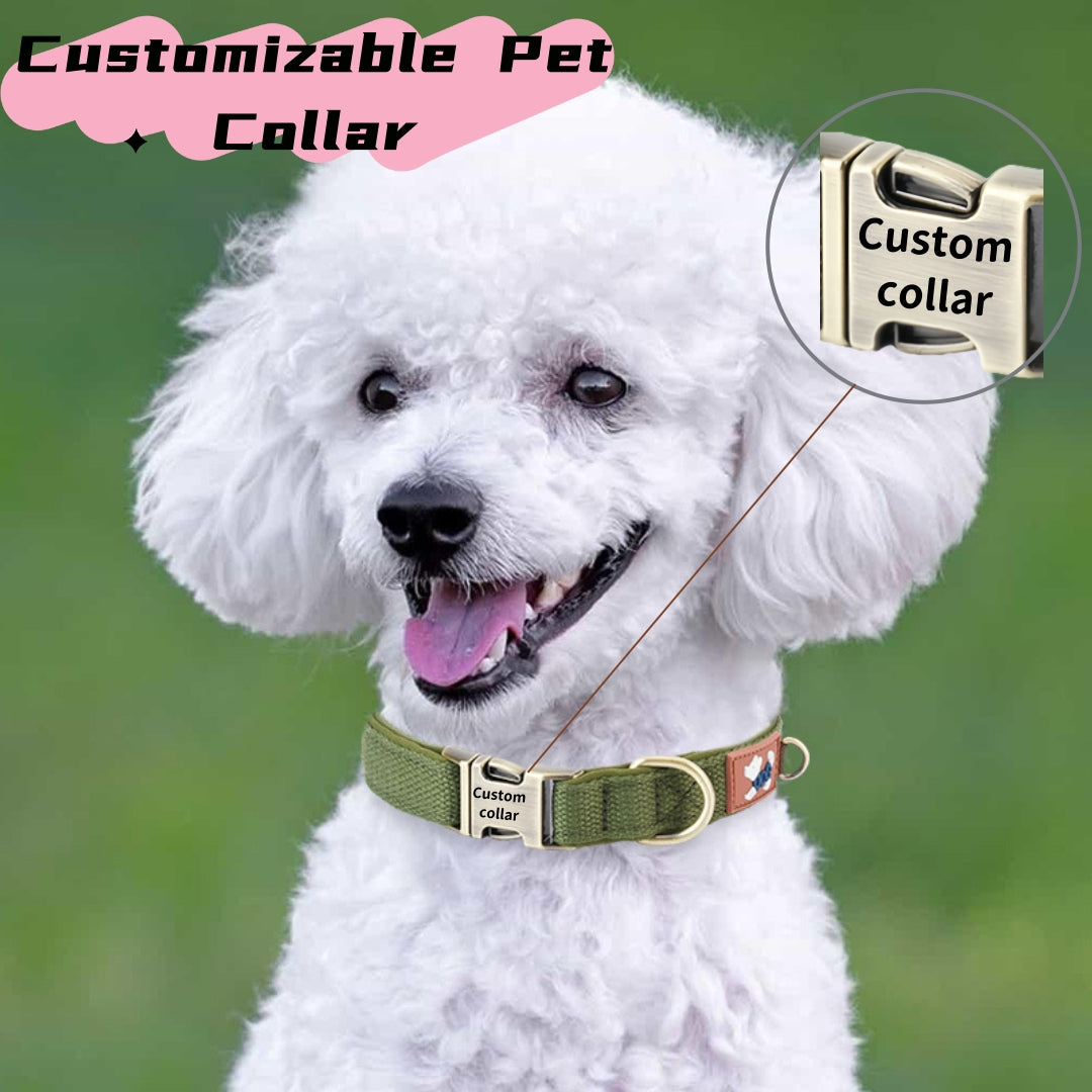 Personalized Dog Collar with Engraved Name Tag