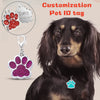 Custom Engraved Pet ID Tags