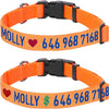 Custom Embroidered Dog Collar with Name & Phone Number